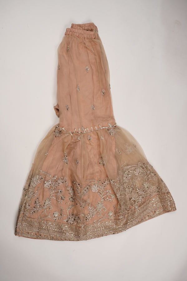 Tehwar - Luxury Organza Festive Collection with Sharara - Ready to Wear - Tehv8d8