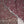 Tehwar - Luxury Organza Festive Collection with Sharara- Ready to Wear - Tehv8d7