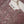 Tehwar - Luxury Organza Festive Collection with Sharara- Ready to Wear - Tehv8d7