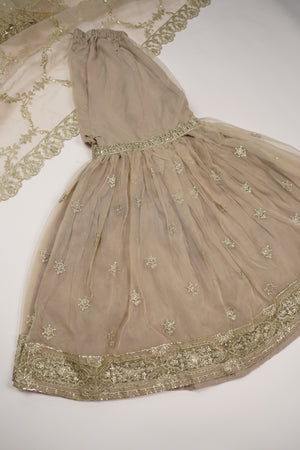 Tehwar - Luxury Organza Festive Collection with Gharara - Ready to Wear - Tehv8d9