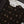 SadaBahar Originals  - Exclusive Lawn Outfit with Dupatta - Ready to Wear - SD275