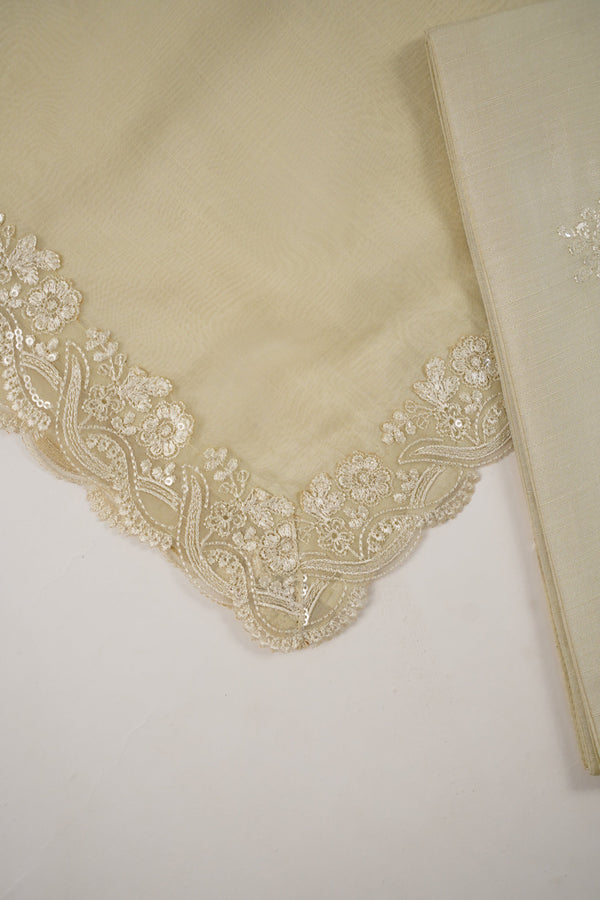 Tehwar - Luxury Organza Outfit with Organza Dupatta - Ready to Wear MC271- Eid Volume 4