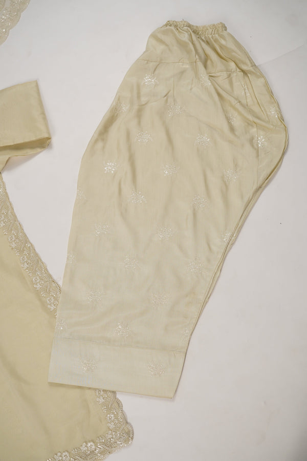 Tehwar - Luxury Organza Outfit with Organza Dupatta - Ready to Wear MC271- Eid Volume 4