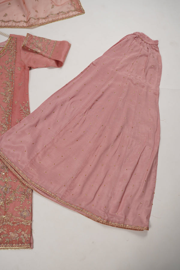 Tehwar - Luxury Organza Outfit with Organza Dupatta - Ready to Wear MC270- Eid Volume 4