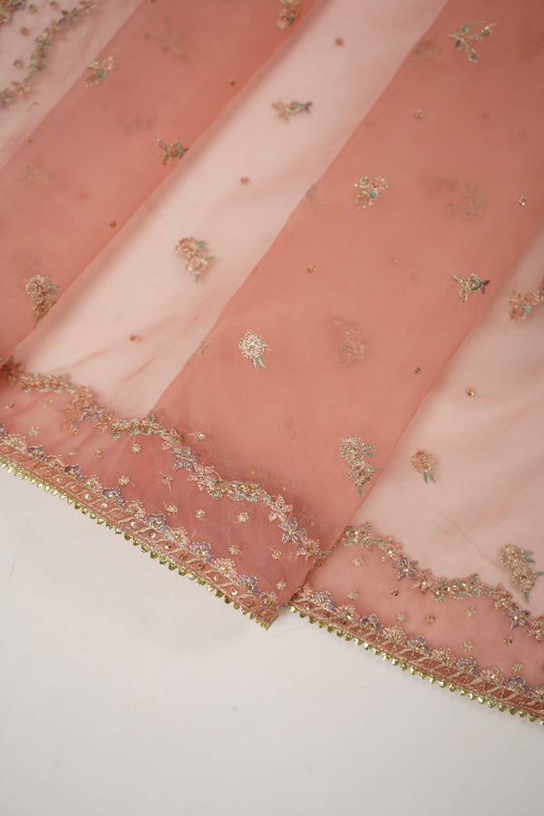 Tehwar - Luxury Organza Outfit with Organza Dupatta - Ready to Wear MC270- Eid Volume 4