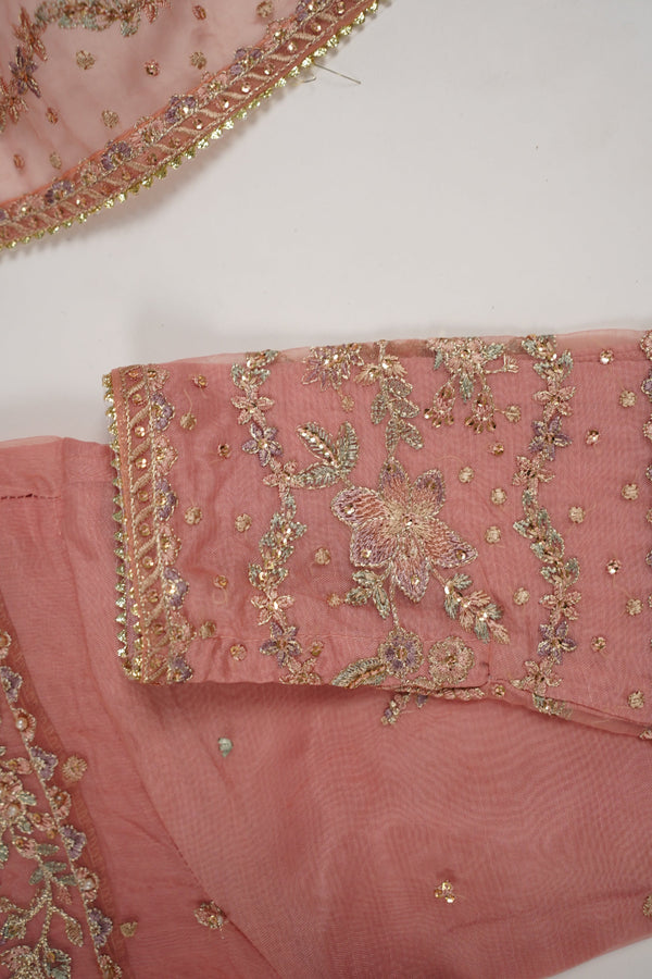 Tehwar - Luxury Organza Outfit with Organza Dupatta - Ready to Wear MC270- Eid Volume 4