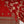 Tehwar - Luxury Festive Collection  with Shararah- Ready to Wear - Tehv10d7