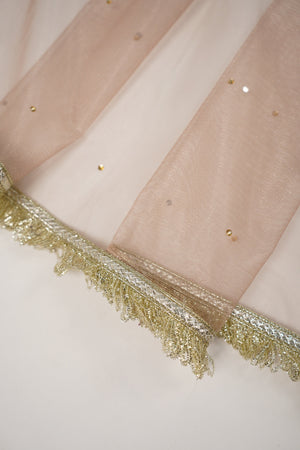 Khaas - Luxury Sheesha Silk Outfit - Hand Work - Ready to Wear SD304