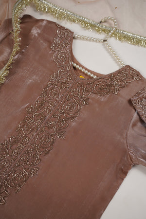 Khaas - Luxury Sheesha Silk Outfit - Hand Work - Ready to Wear SD304