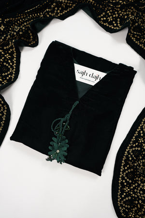 Tawakkal - Luxury Velvet Outfit with Embroidered Velvet Shawl Green