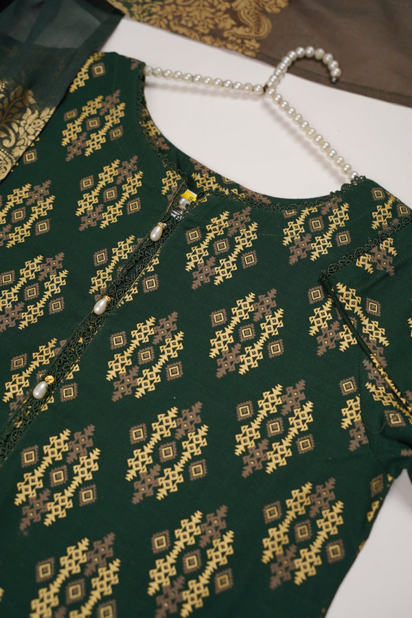 Rozi - Exclusive Khaddar Outfit with Multani Shawl - Ready to Wear - Warm Fabric PD138