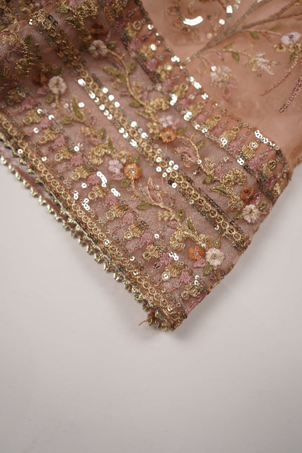 Tehwar - Luxury Organza Maxi  - Ready to Wear pink