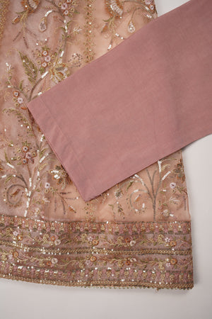 Tehwar - Luxury Organza Maxi  - Ready to Wear pink - SB-Maxi