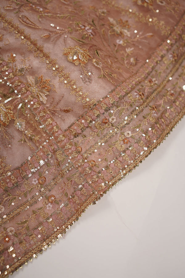 Tehwar - Luxury Organza Maxi  - Ready to Wear pink