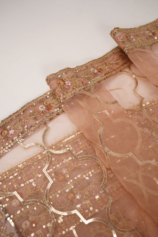 Tehwar - Luxury Organza Maxi  - Ready to Wear pink
