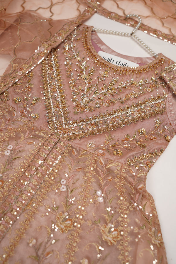 Tehwar - Luxury Organza Maxi  - Ready to Wear pink