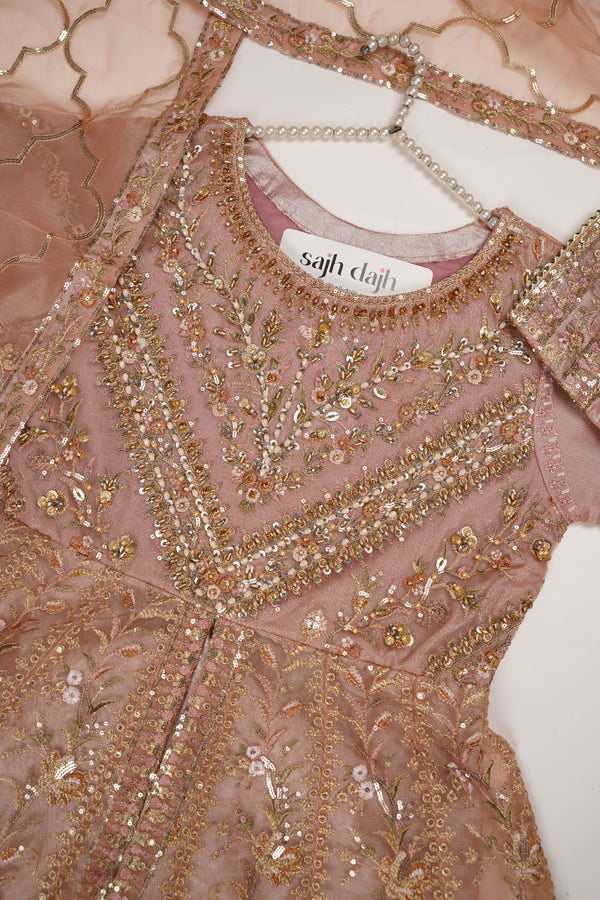 Tehwar - Luxury Organza Maxi  - Ready to Wear pink