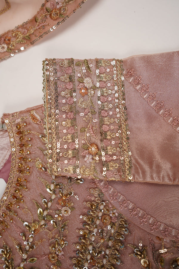 Tehwar - Luxury Organza Maxi  - Ready to Wear pink