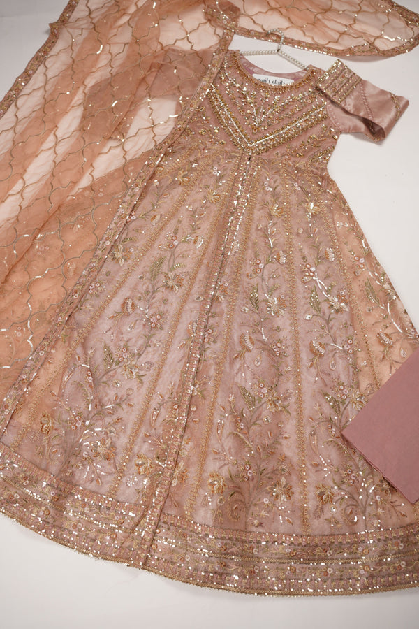 Tehwar - Luxury Organza Maxi  - Ready to Wear pink