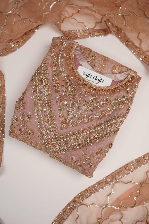 Tehwar - Luxury Organza Maxi  - Ready to Wear pink
