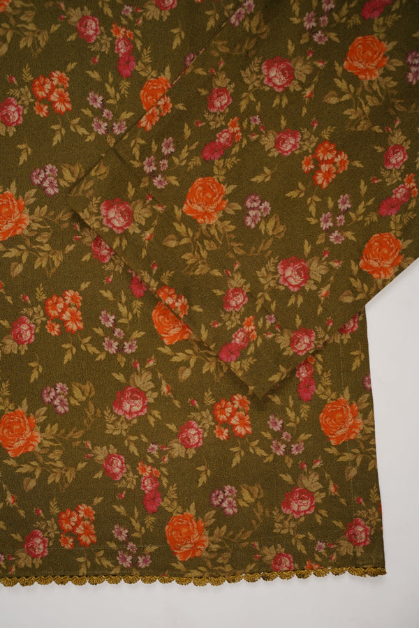 Rozi - Luxury Dhanak  Co-Ords - Ready to Wear PKD006