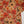 Load image into Gallery viewer, Rozi - Luxury Dhanak  Co-Ords - Ready to Wear PKD008
