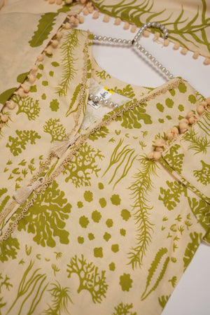 Rozi - Exclusive Khaddar Outfit with Shawl - Ready to Wear - PD140-SB