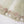 SadaBahar Originals  - Luxury Organza Outfit with Sharara  - Ready to Wear SD284