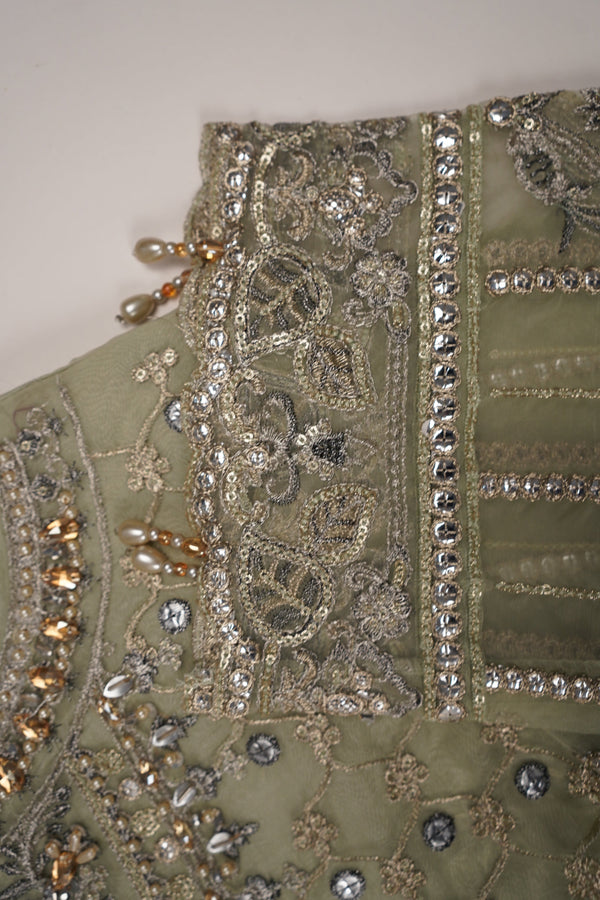 Tehwar - Luxury Organza Festive Collection with Gararah - Ready to Wear - Tehv9d2