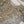 Husan e Jahan - Luxury Festive Collection With Shararah - Ready to Wear -SB- HEJ-V5-D9