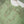 Rozi - Farshi Shalwar - Luxury Cotton Lawn Outfit With Net Dupatta - Ready to Wear PD030