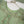 Rozi - Farshi Shalwar - Luxury Cotton Lawn Outfit With Net Dupatta - Ready to Wear PD030