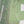 Rozi - Farshi Shalwar - Luxury Cotton Lawn Outfit With Net Dupatta - Ready to Wear PD030
