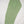 Rozi - Farshi Shalwar - Luxury Cotton Lawn Outfit With Net Dupatta - Ready to Wear PD030