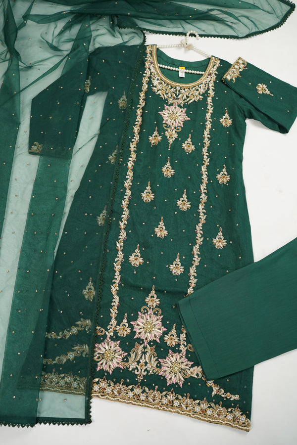 Khaas- Luxury Organza Outfit with Organza Dupatta - Ready to Wear - V1 - 01