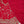 Husan e Jahan - Luxury Chiffon Outfit with Chiffon Dupatta & Gharara - Ready to Wear - V2 - Eid25 - 04 -SD