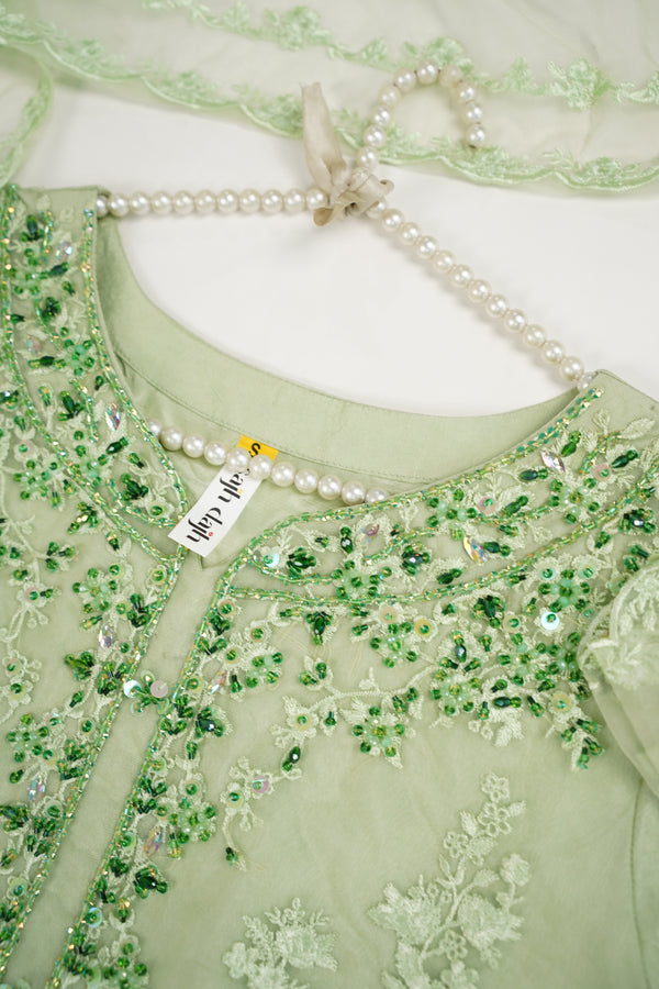 Paaras - The Luxury Organza - Ready to Wear - Long Shirt - D1