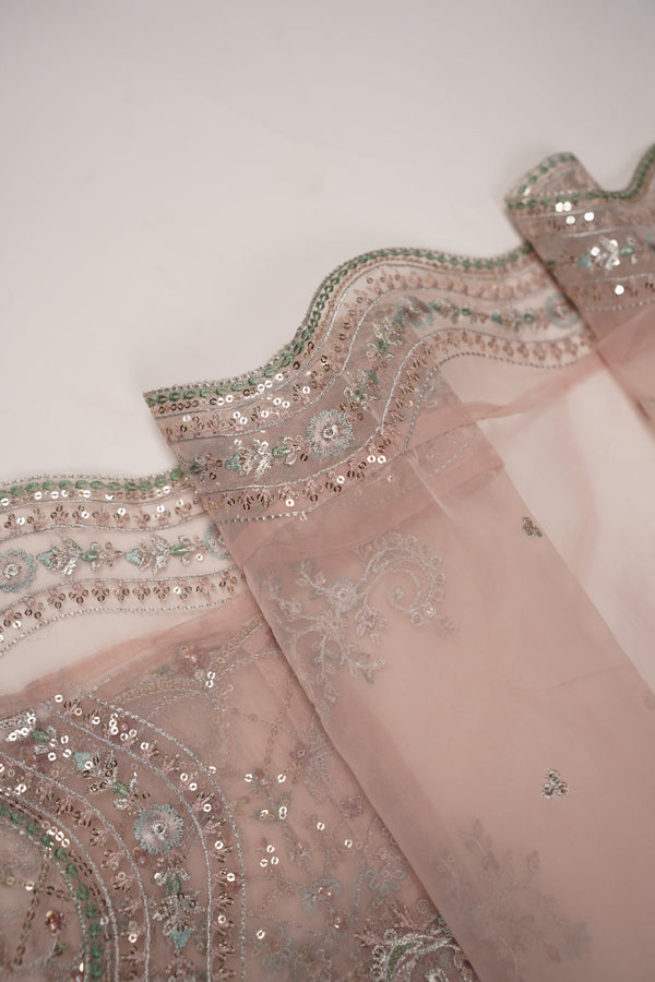 Tehwar - Luxury Festive Collection - Ready to Wear - Tehv9d3