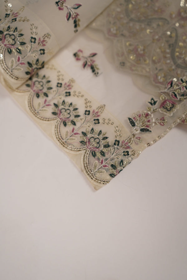 Tehwar - Luxury Festive Collection - Ready to Wear - Tehv9d4