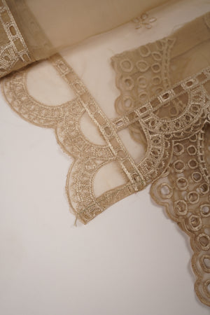 Tehwar - Luxury Festive Collection - Ready to Wear - Tehv9d5 -SB