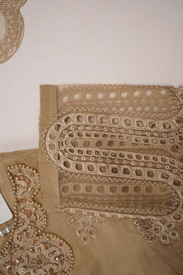 Tehwar - Luxury Festive Collection - Ready to Wear - Tehv9d5