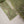 Load image into Gallery viewer, Tehwar - Luxury Festive Collection - Ready to Wear - Tehv9d6

