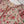 Load image into Gallery viewer, Rozi - Luxury Cotton Lawn Outfit With Voile Dupatta - Ready to Wear PD060
