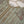 Tehwar - Luxury Festive Collection - Ready to Wear - SBD8