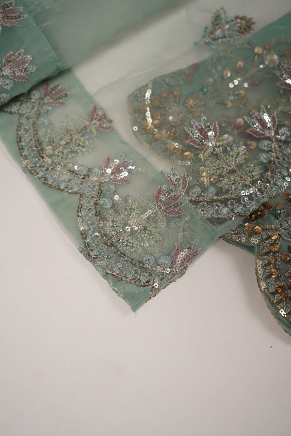 Tehwar - Luxury Festive Collection - Ready to Wear - Tehv10d2