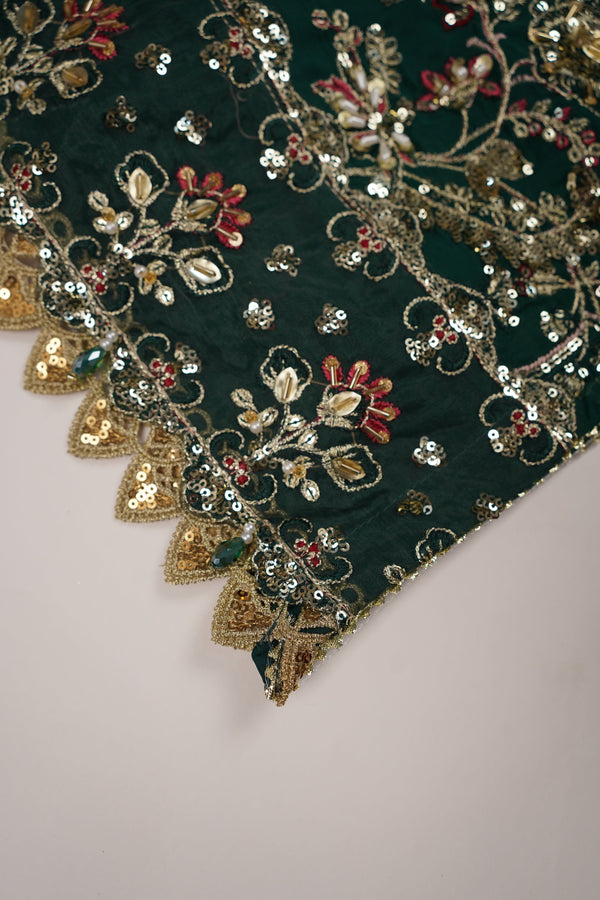 Husan e Jahan - Luxury Festive Collection With Shararah - Ready to Wear - HEJ-V6-D3
