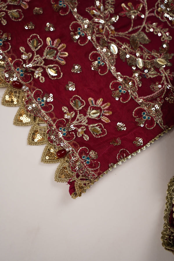 Husan e Jahan - Luxury Festive Collection With Shararah - Ready to Wear - HEJ-V6-D2