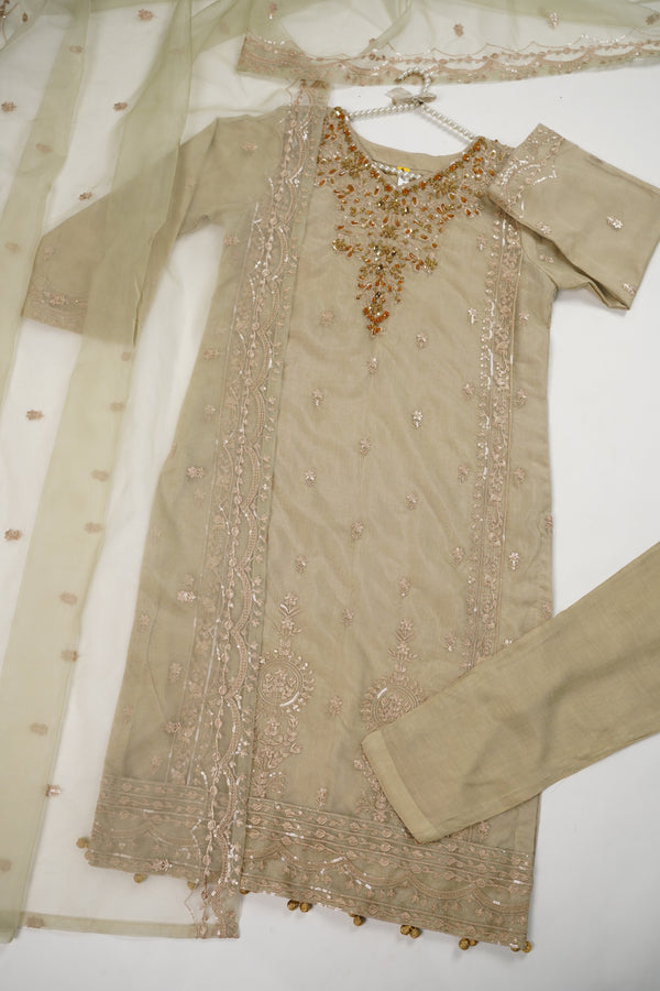 Tehwar - Luxury Organza Outfit - Festive Collection - Ready to Wear - V4 - D1 - Eid25-01