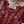Husan e Jahan - Luxury Festive Collection With Shararah - Ready to Wear - HEJ-V6-D2