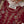 Load image into Gallery viewer, Husan e Jahan - Luxury Festive Collection With Shararah - Ready to Wear - HEJ-V6-D2
